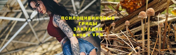 мяу мяу мука Переславль-Залесский
